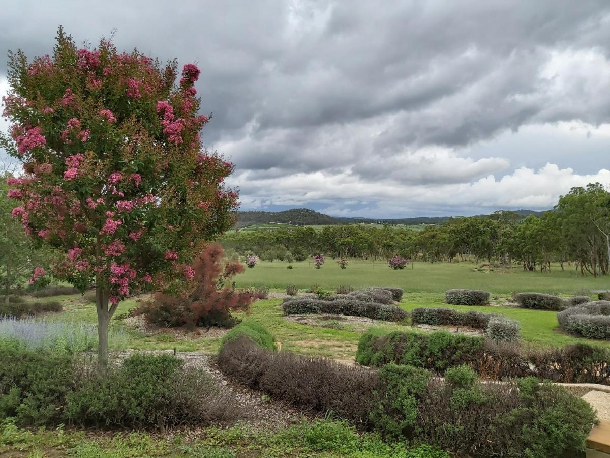 Accommodation Creek Cottages & Sundown View Suites Ballandean Exterior foto